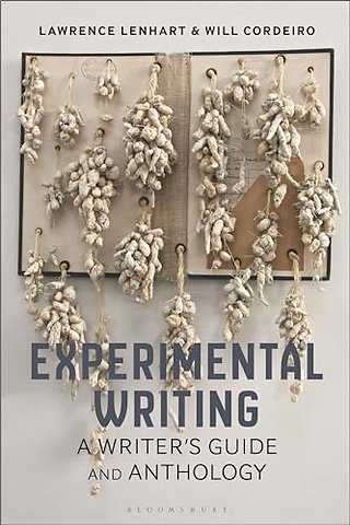 Experimental Writing