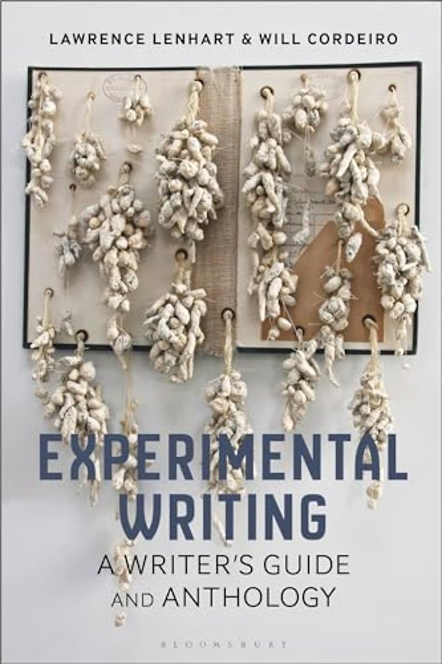 Experimental Writing
