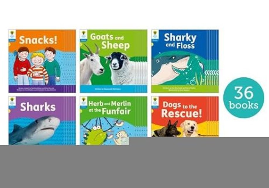 Oxford Reading Tree: Floppy's Phonics Decoding Practice: Oxford Level 3: Class Pack of 36