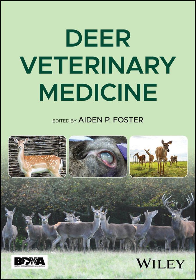 Deer Veterinary Medicine