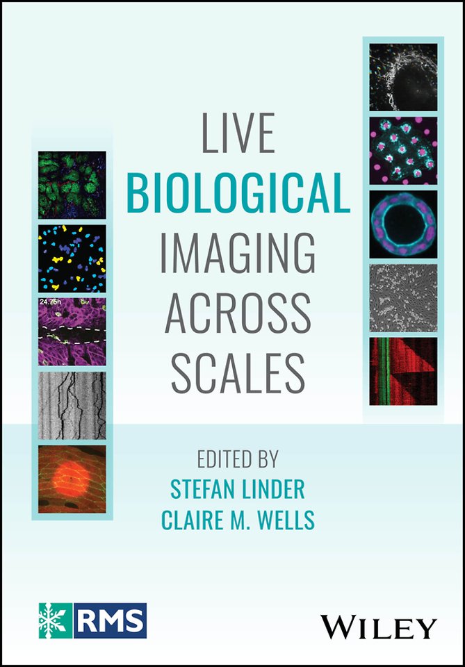 Live Biological Imaging Across Scales