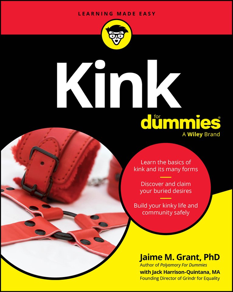 Kink For Dummies