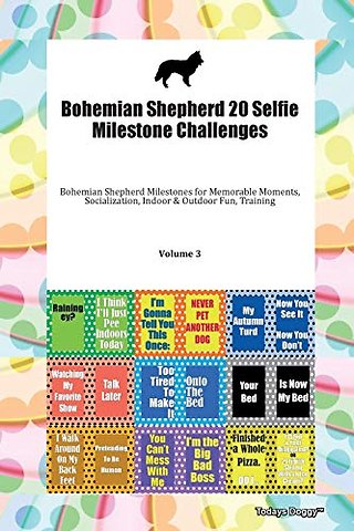 Bohemian Shepherd 20 Selfie Milestone Challenges Bohemian Shepherd Milestones for Memorable Moments, Socialization, Indoor & Outdoor Fun, Training Volume 3