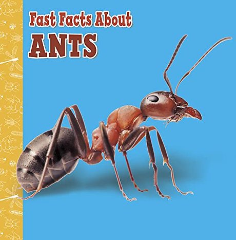 Fast Facts About Ants