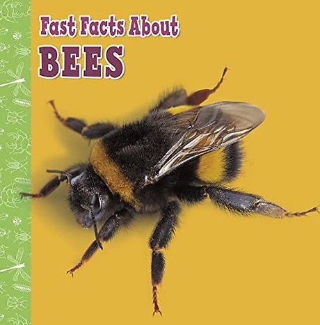 Fast Facts About Bees
