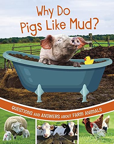 Why Do Pigs Like Mud?