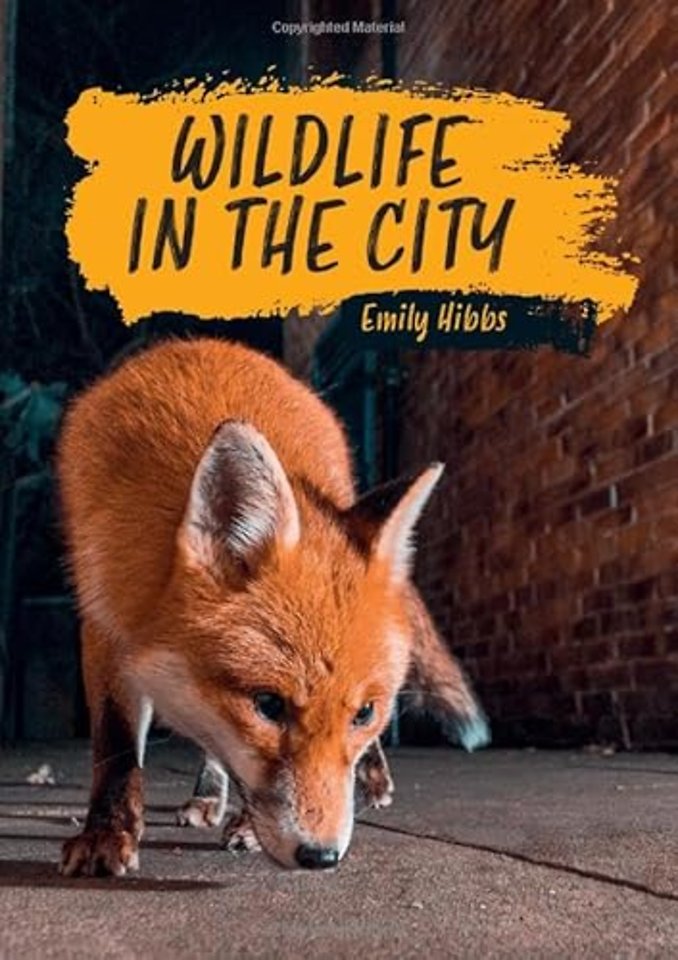 Reading Planet KS2: Wildlife in the City - Earth/Grey