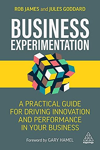 Business Experimentation