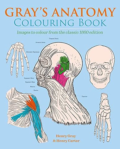 Gray's Anatomy Colouring Book