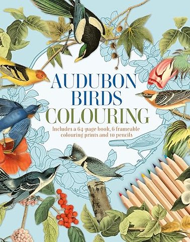 Audubon Birds Colouring Kit