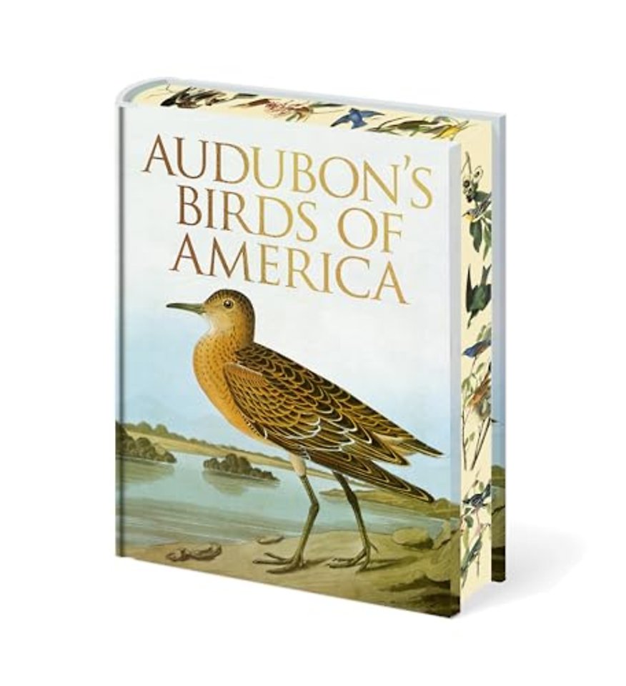 Audubon's Birds of America