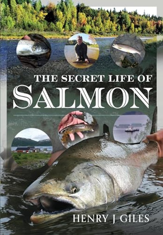 The Secret Life of Salmon