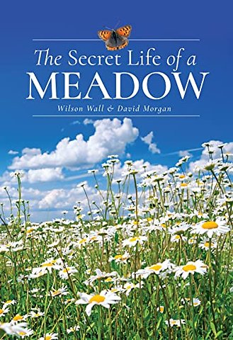 The Secret Life of a Meadow