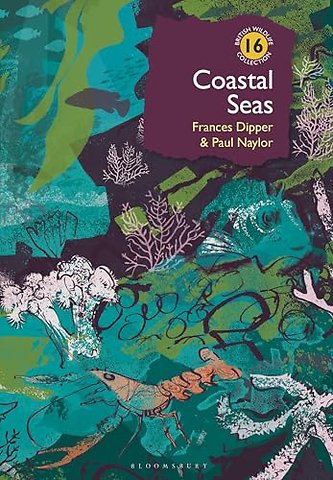 Coastal Seas