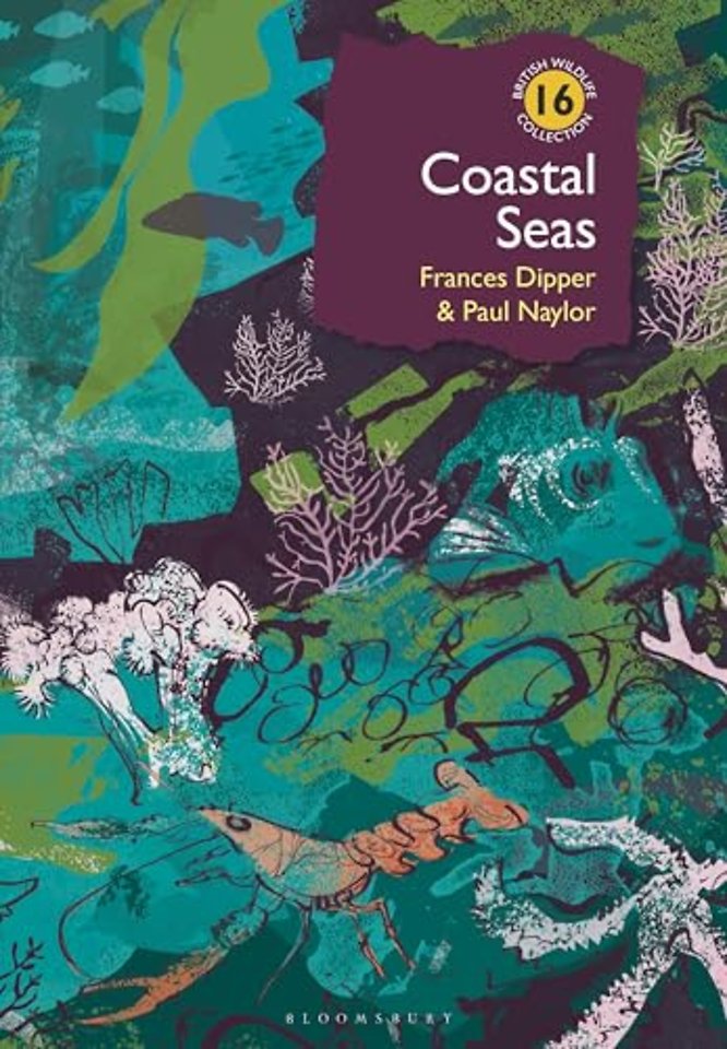 Coastal Seas
