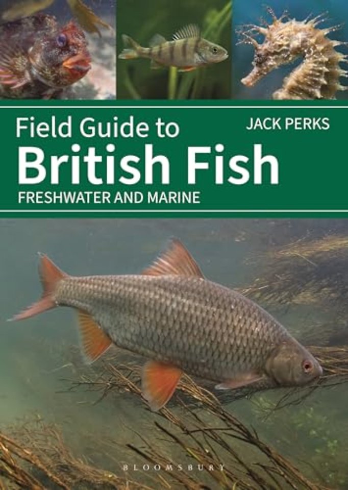 Field Guide to British Fish