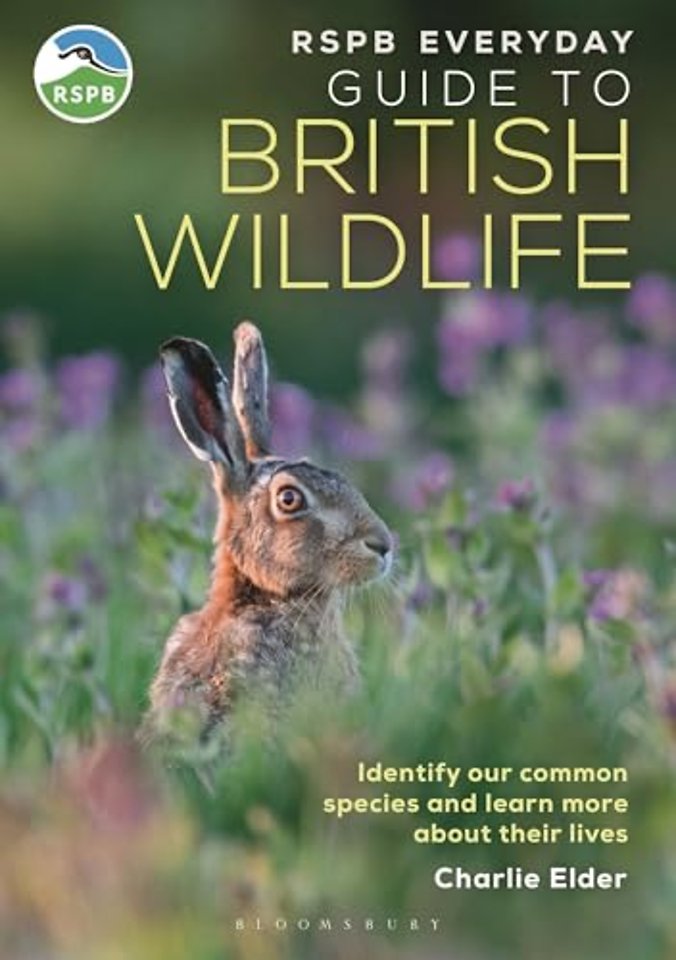 RSPB Everyday Guide to British Wildlife