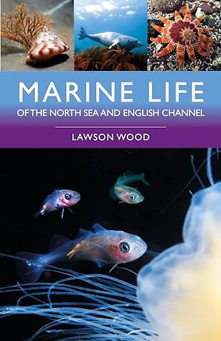 Marine Life of the North Sea and English Channel