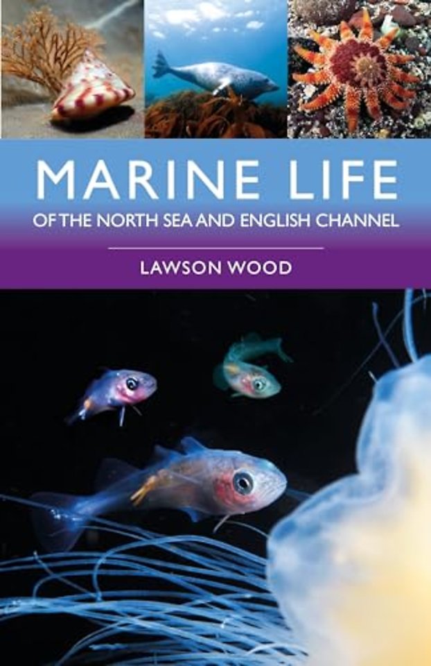 Marine Life of the North Sea and English Channel