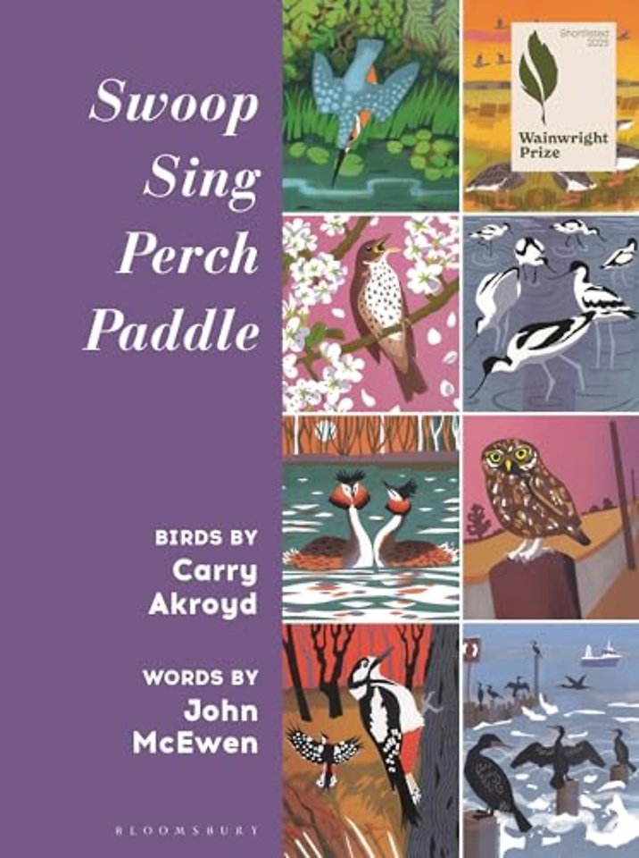 Swoop Sing Perch Paddle