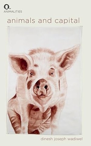 Animals and Capital