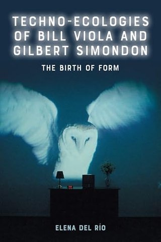 Techno-Ecologies of Bill Viola and Gilbert Simondon