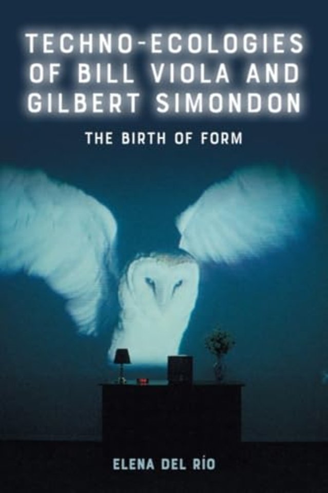 Techno-Ecologies of Bill Viola and Gilbert Simondon