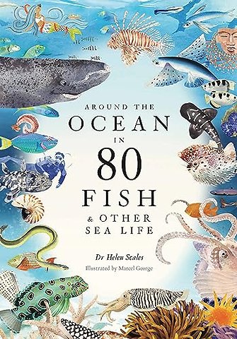 Around the Ocean in 80 Fish and other Sea Life