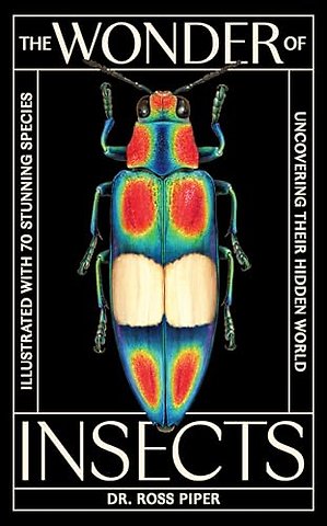 The Wonder of Insects: Uncovering their Hidden World