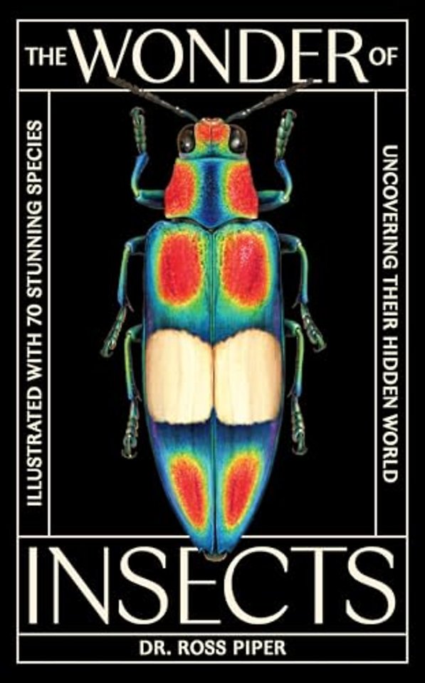 The Wonder of Insects: Uncovering their Hidden World