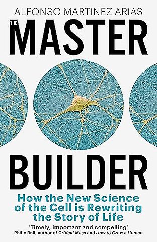 The Master Builder