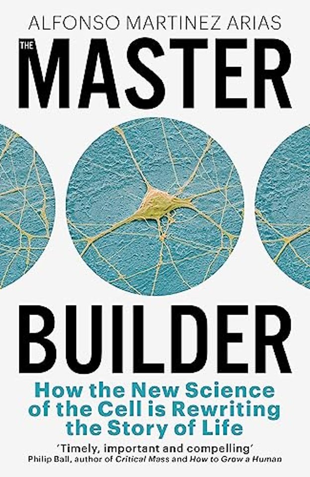 The Master Builder
