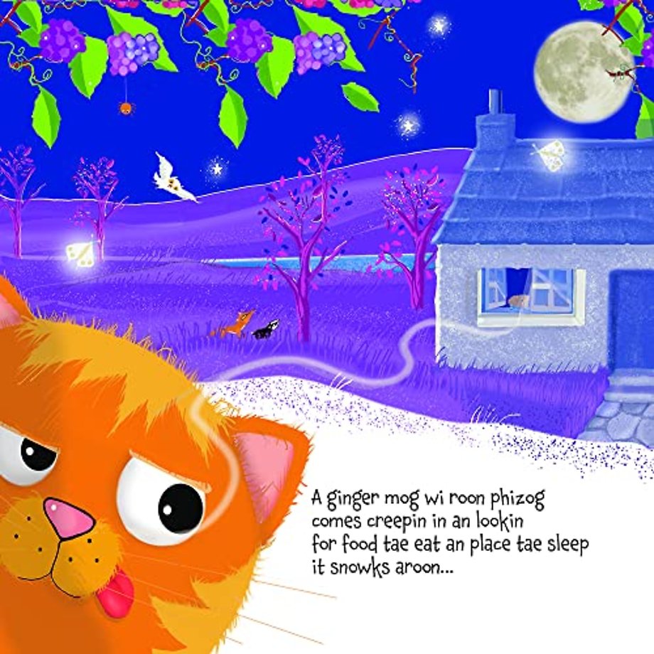 Phantom the ginger mog an the Dreamy pie Pauchle