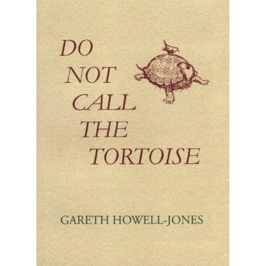 Do Not Call the Tortoise