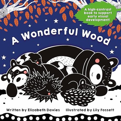 A Wonderful Wood: A Black-and-White High-Contrast Storybook for Newborns and Children aged 0-5