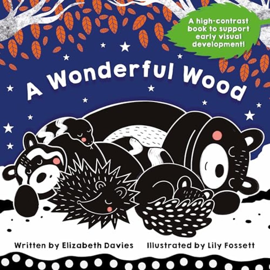 A Wonderful Wood: A Black-and-White High-Contrast Storybook for Newborns and Children aged 0-5