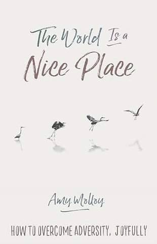 The World Is a Nice Place
