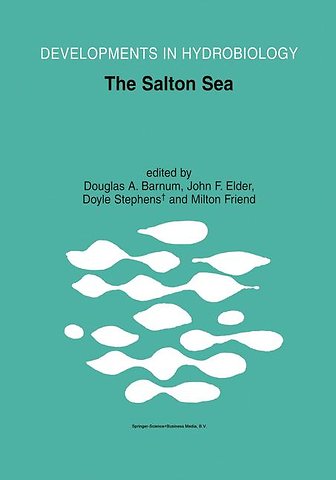 The Salton Sea