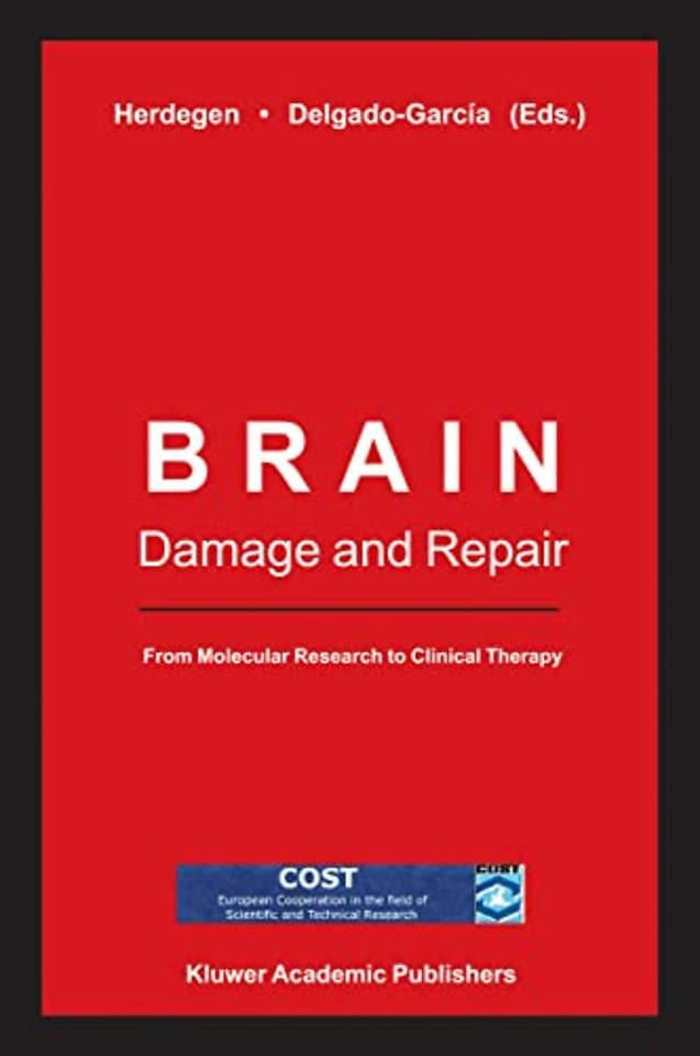 Brain Damage and Repair