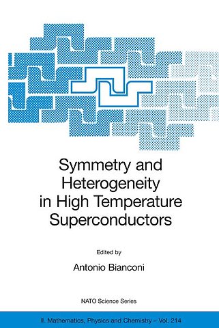 Symmetry and Heterogeneity in High Temperature Superconductors