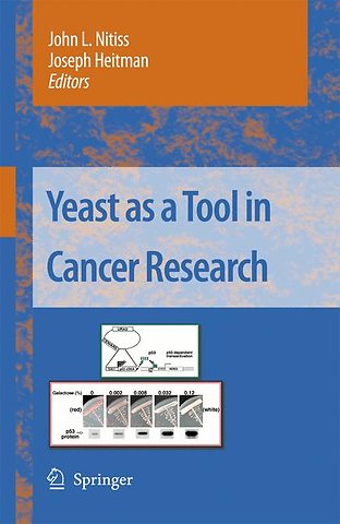 Yeast as a Tool in Cancer Research