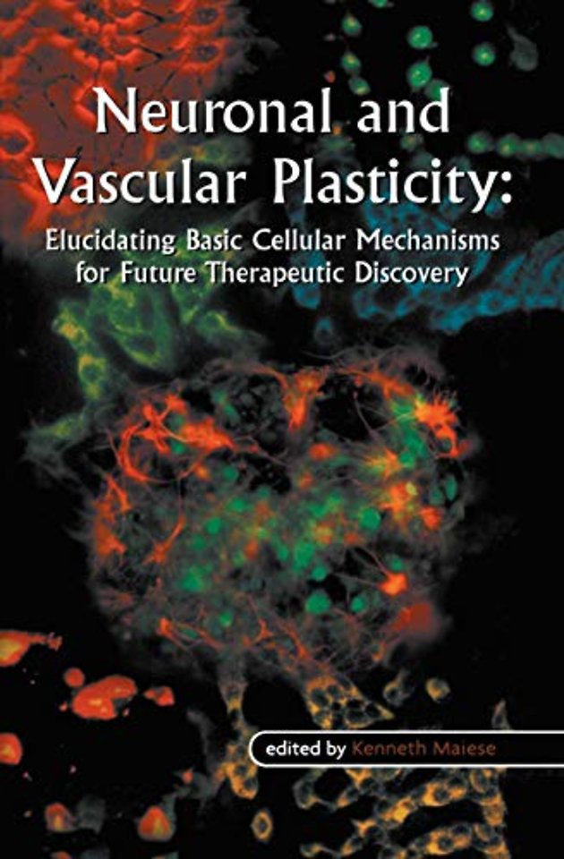 Neuronal and Vascular Plasticity