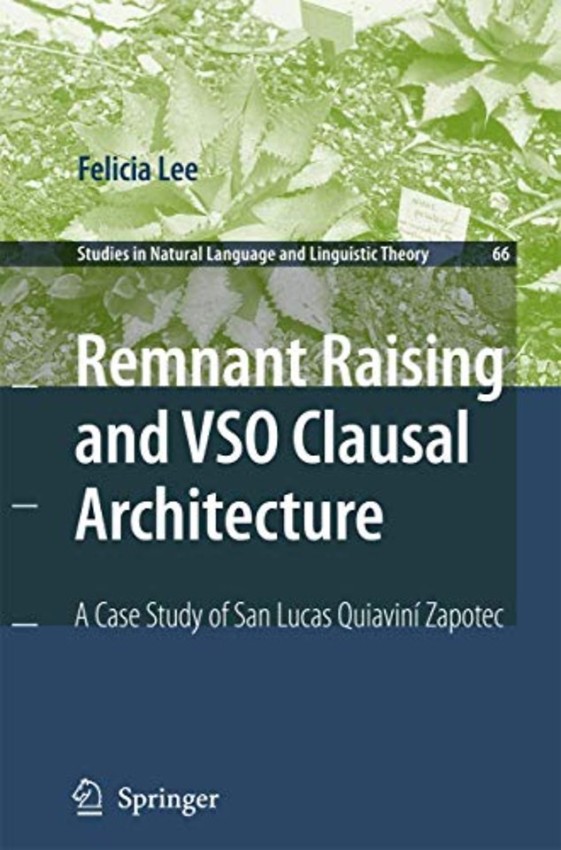 Remnant Raising and VSO Clausal Architecture