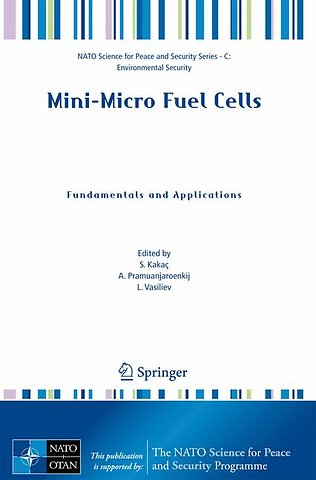 Mini-Micro Fuel Cells