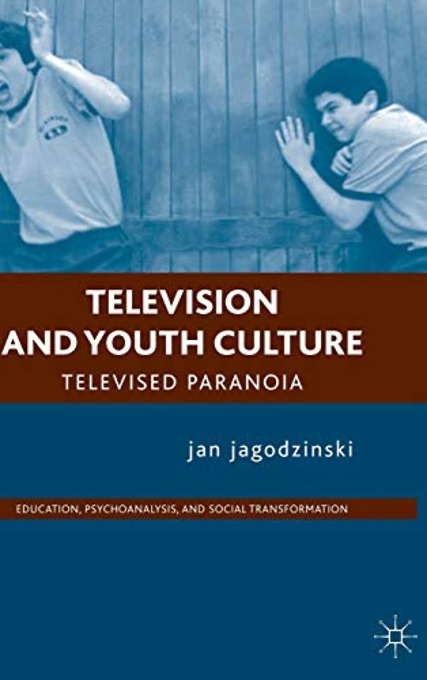 Television and Youth Culture