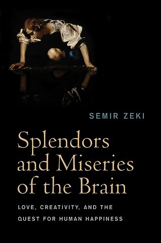 Splendors and Miseries of the Brain