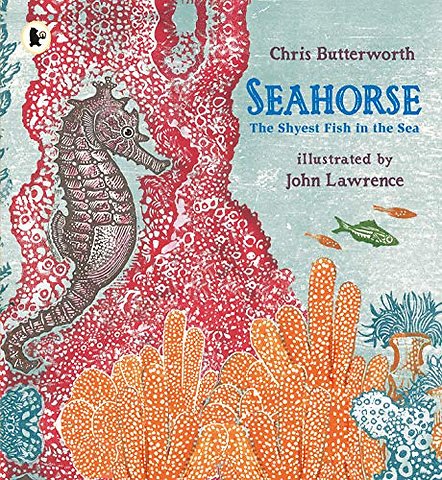 Seahorse: The Shyest Fish in the Sea