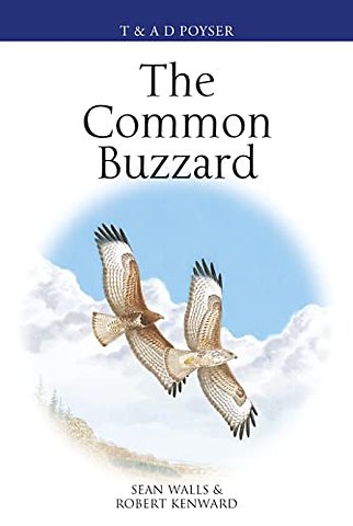 The Common Buzzard