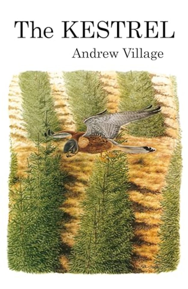 The Kestrel