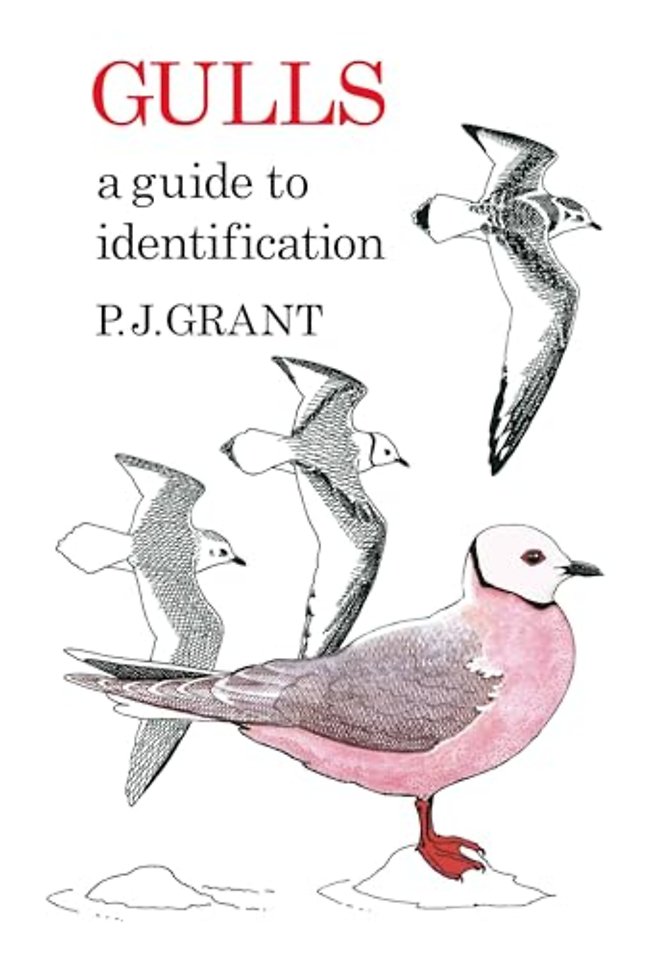 Gulls: A Guide to Identification. 2nd Edition